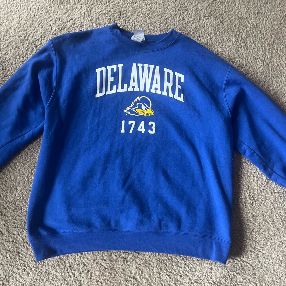 Champion Blue Crewneck Sweater